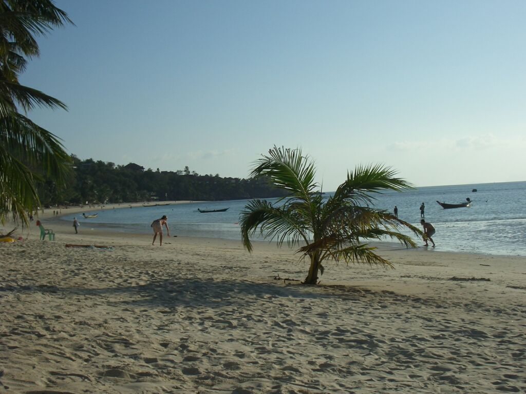 Click to See Next Image